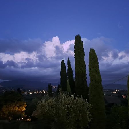 Villa The Green Door - Casa Vacanze Vicino A Roma Fonte Nuova Bagian luar foto